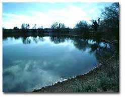 Pond
